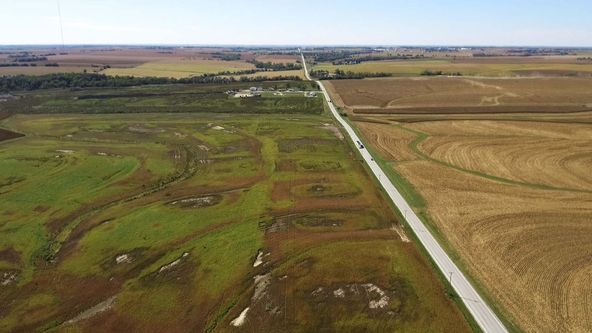 Timmerman Cattle Farm: 17404 & 17615 Platteview Road , Springfield, NE 68059
